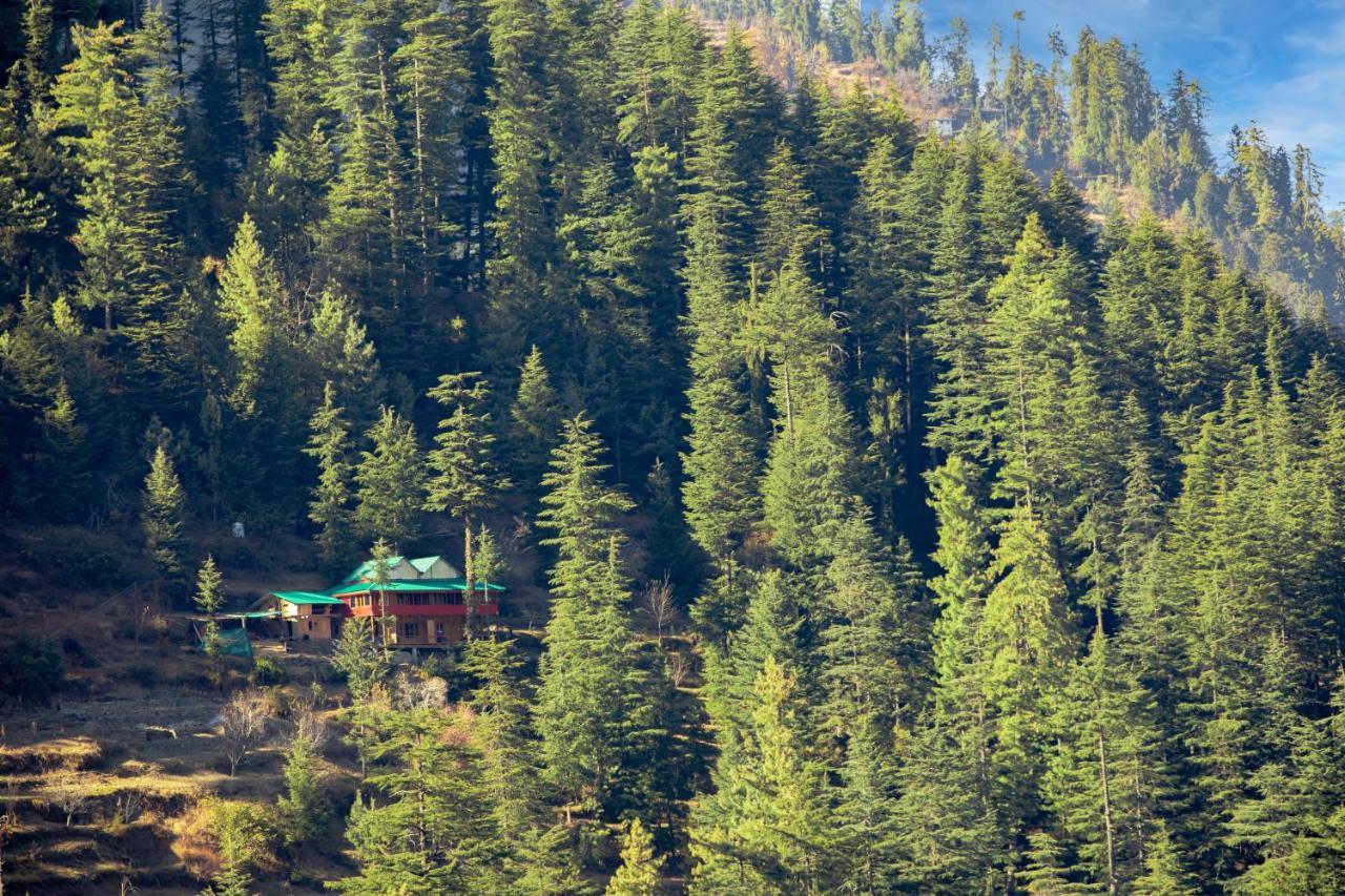 Freebird Nest Jibhi Hotel Esterno foto