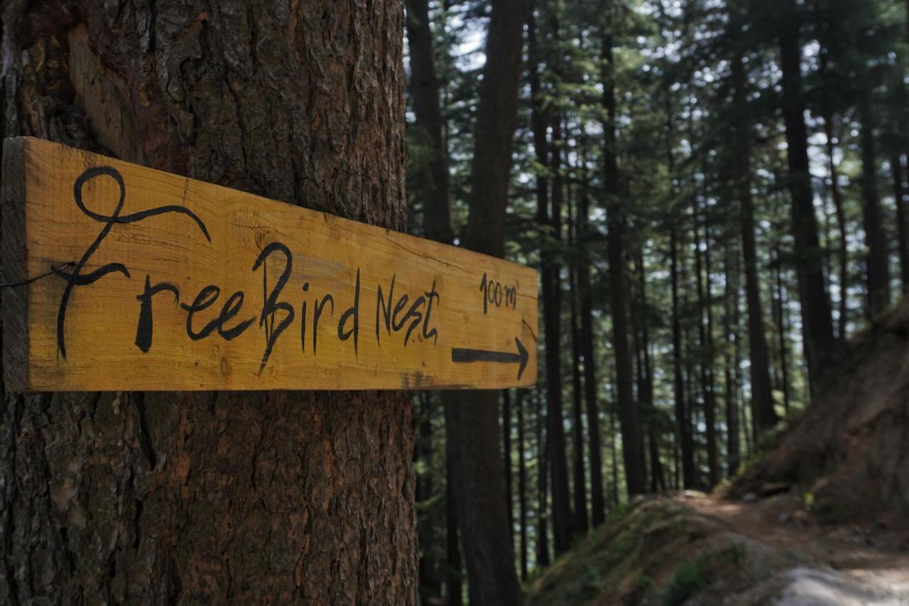 Freebird Nest Jibhi Hotel Esterno foto